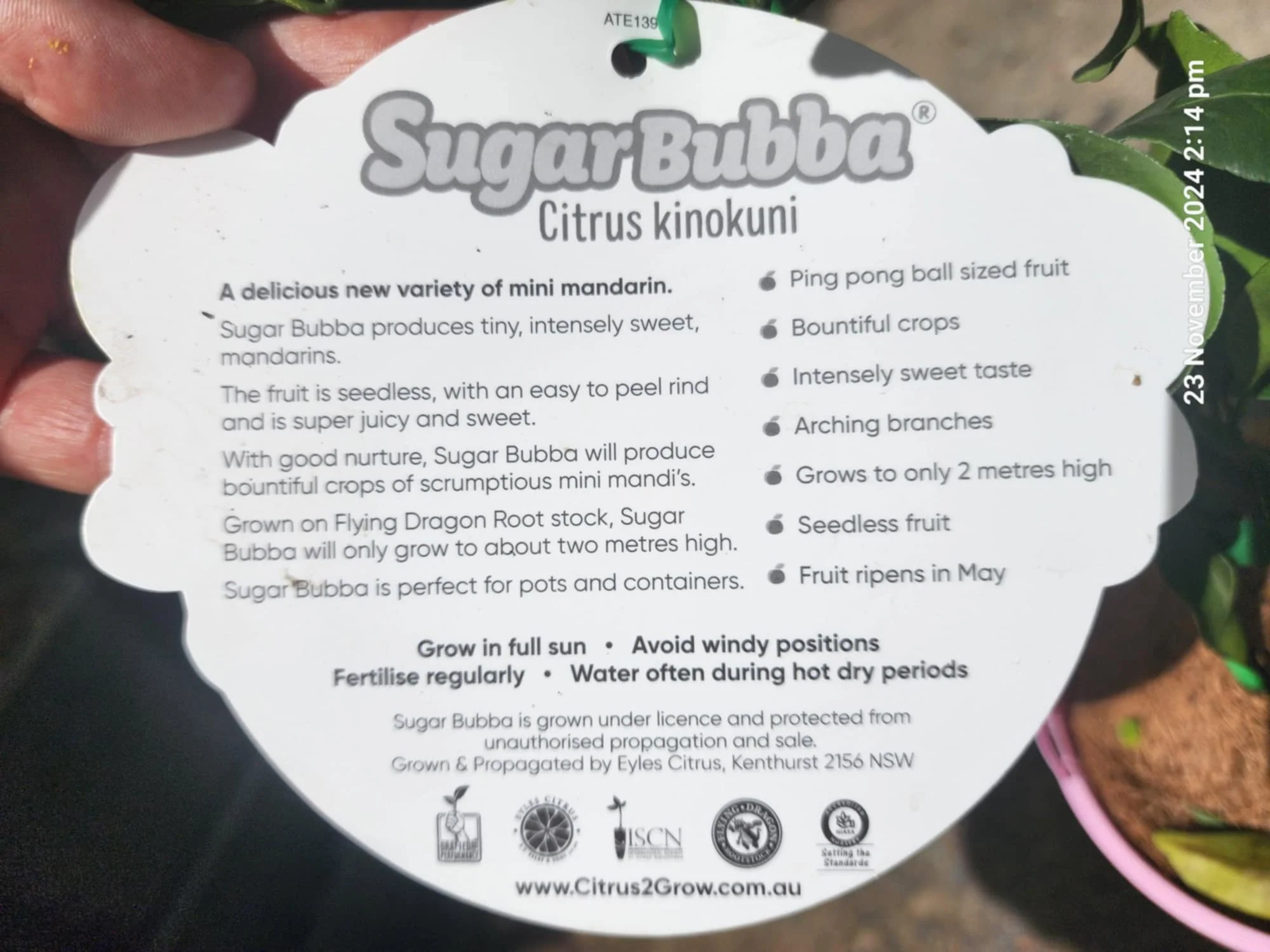Product image 3