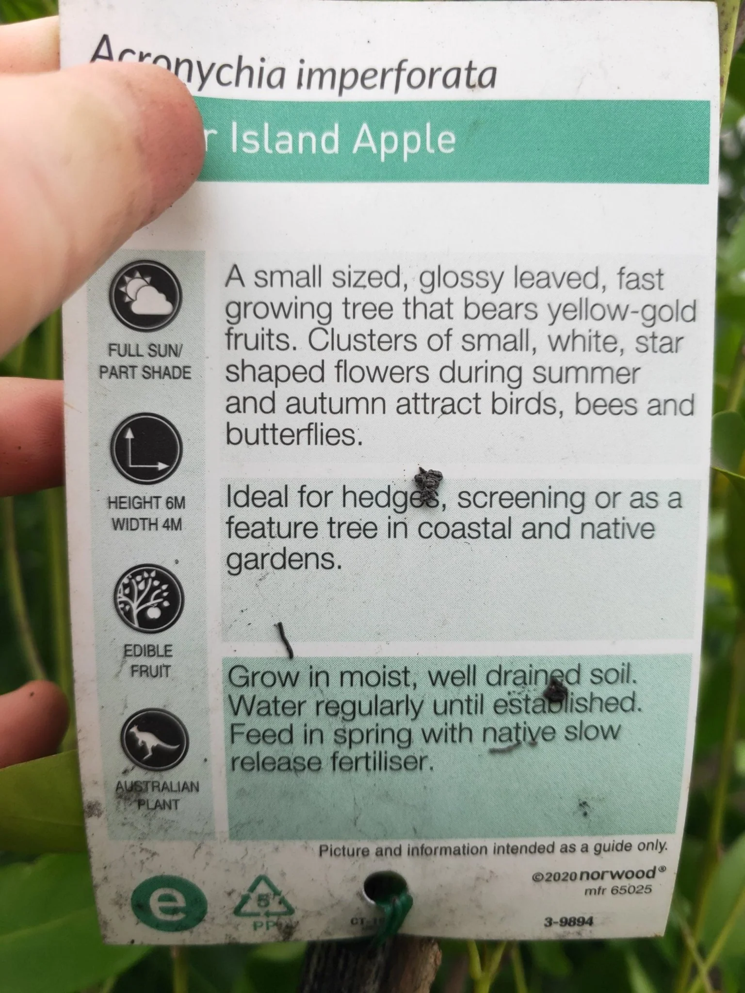 Product image 3