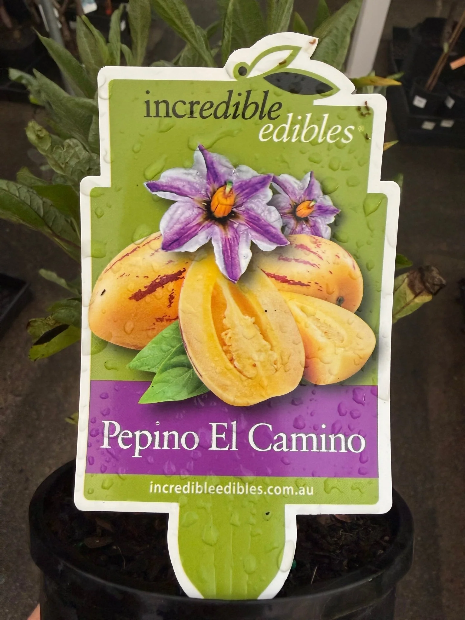 Product image 14
