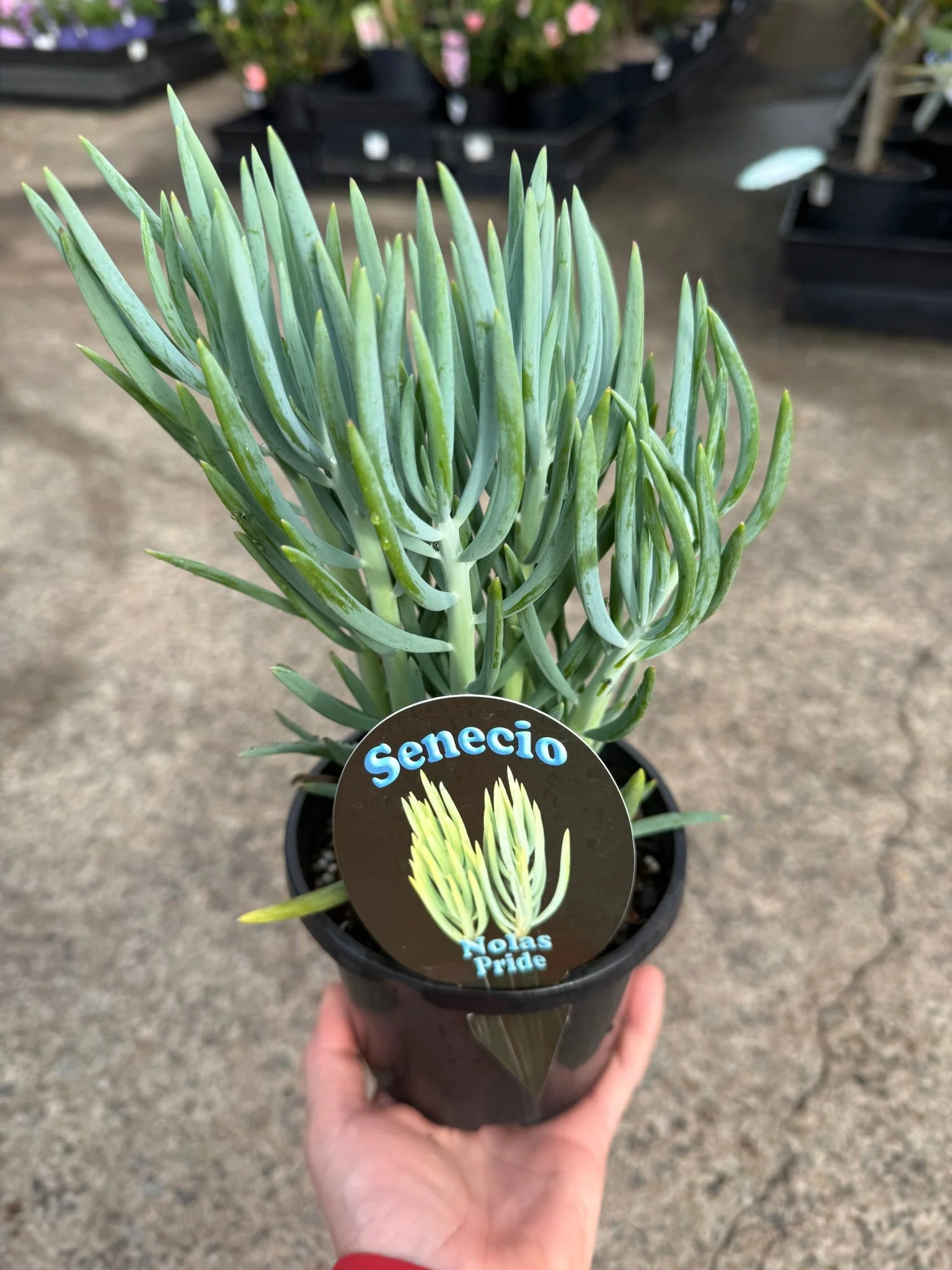 Product image 9